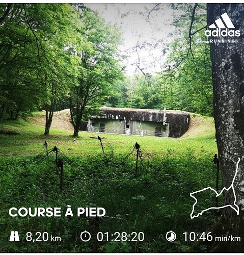 Screenshot_20210607_184624_com.runtastic.android_edit_104286335676274