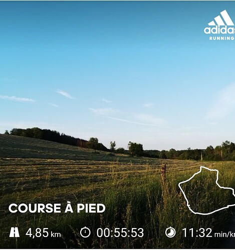 Screenshot_20210610_212915_com.runtastic.android_edit_136193779243799