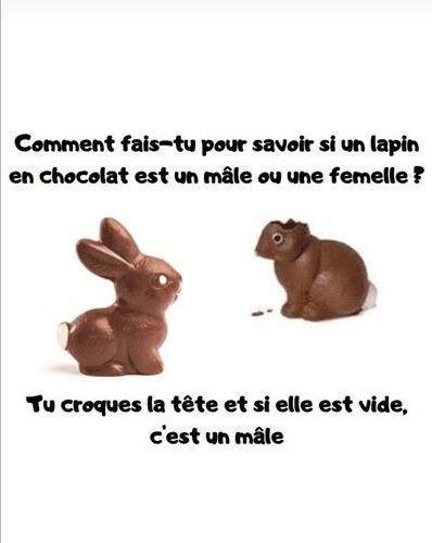 Screenshot_20220402_123446