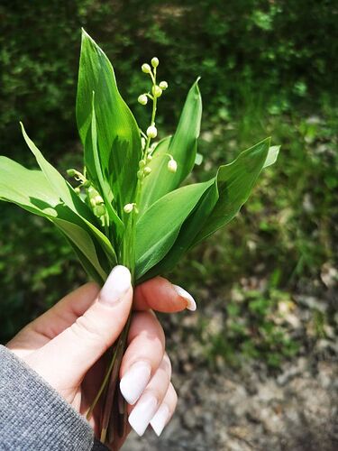 2021-05-02_15_09_26_453_1