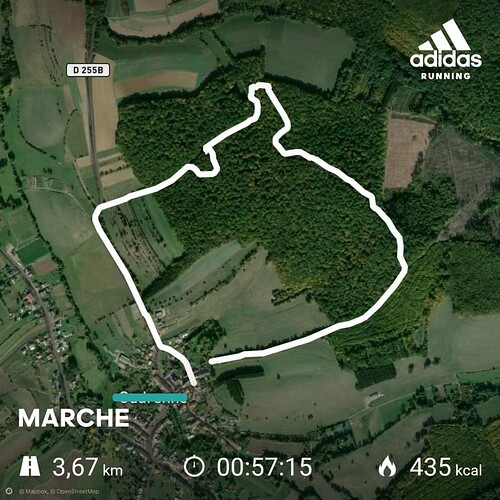 received_335723397977351_edit_56662408059582