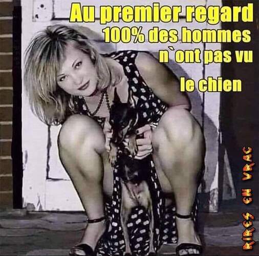FB_IMG_1694930088660