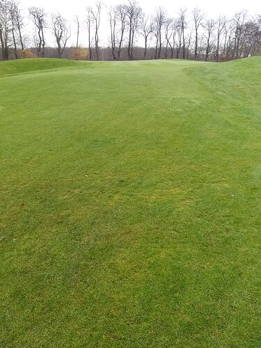 16080256731629101069573772292579