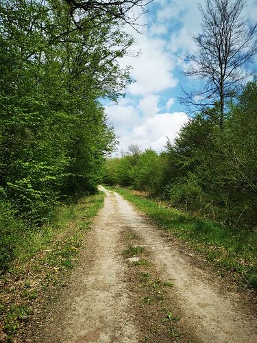 2021-05-02_15_09_26_453_0